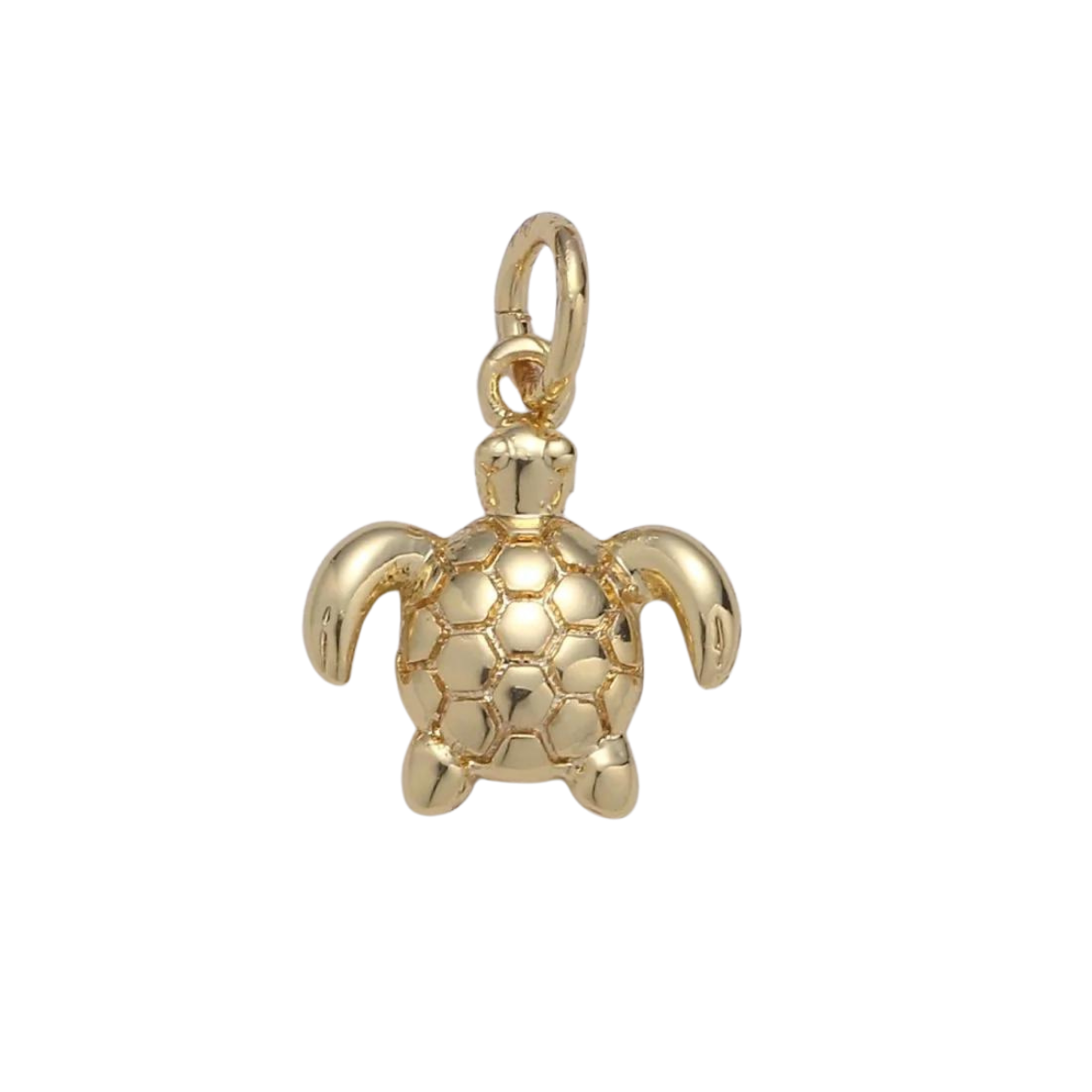 Sea Turtle Charm